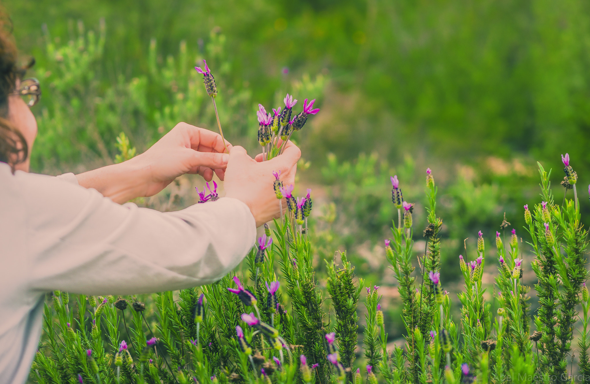 Samsung NX1 + Samsung NX 85mm F1.4 ED SSA sample photo. Llega la primavera - spring arrives photography