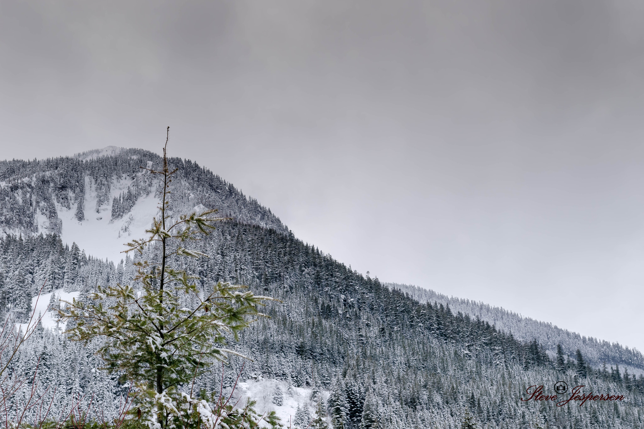 Nikon D3300 + Nikon AF-S Nikkor 35mm F1.8G ED sample photo. Snowy photography