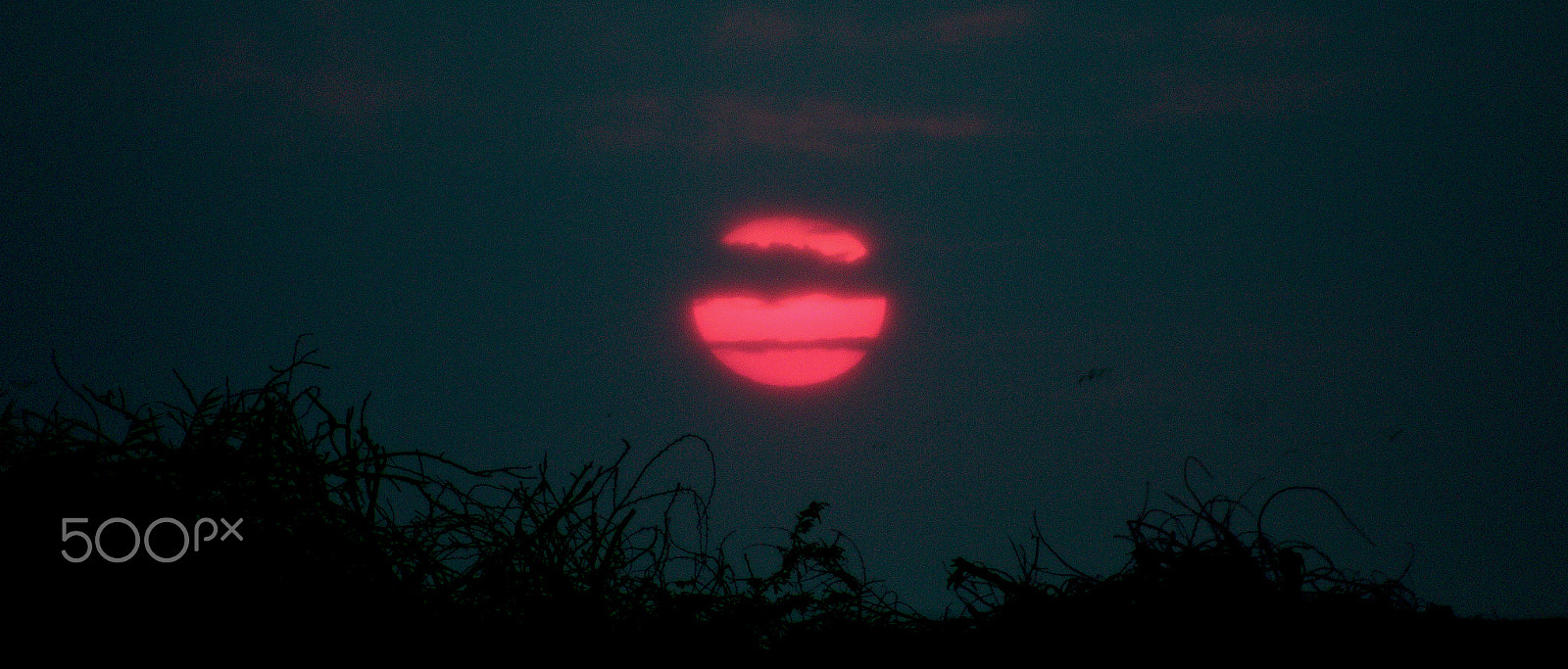 Canon EOS 70D + EF75-300mm f/4-5.6 sample photo. Red sunset photography