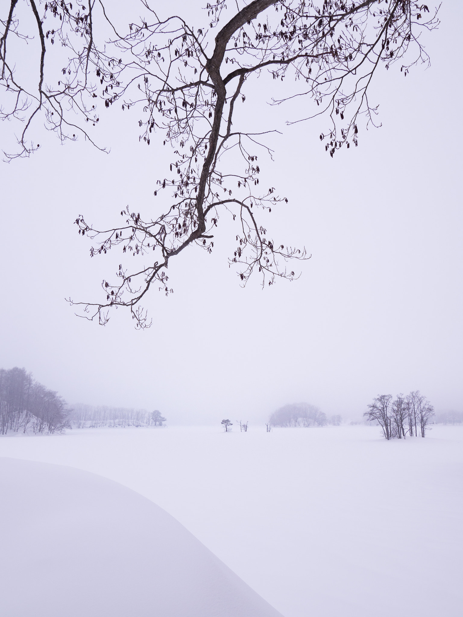 Olympus M.Zuiko Digital ED 7-14mm F2.8 PRO sample photo. Winter lake photography