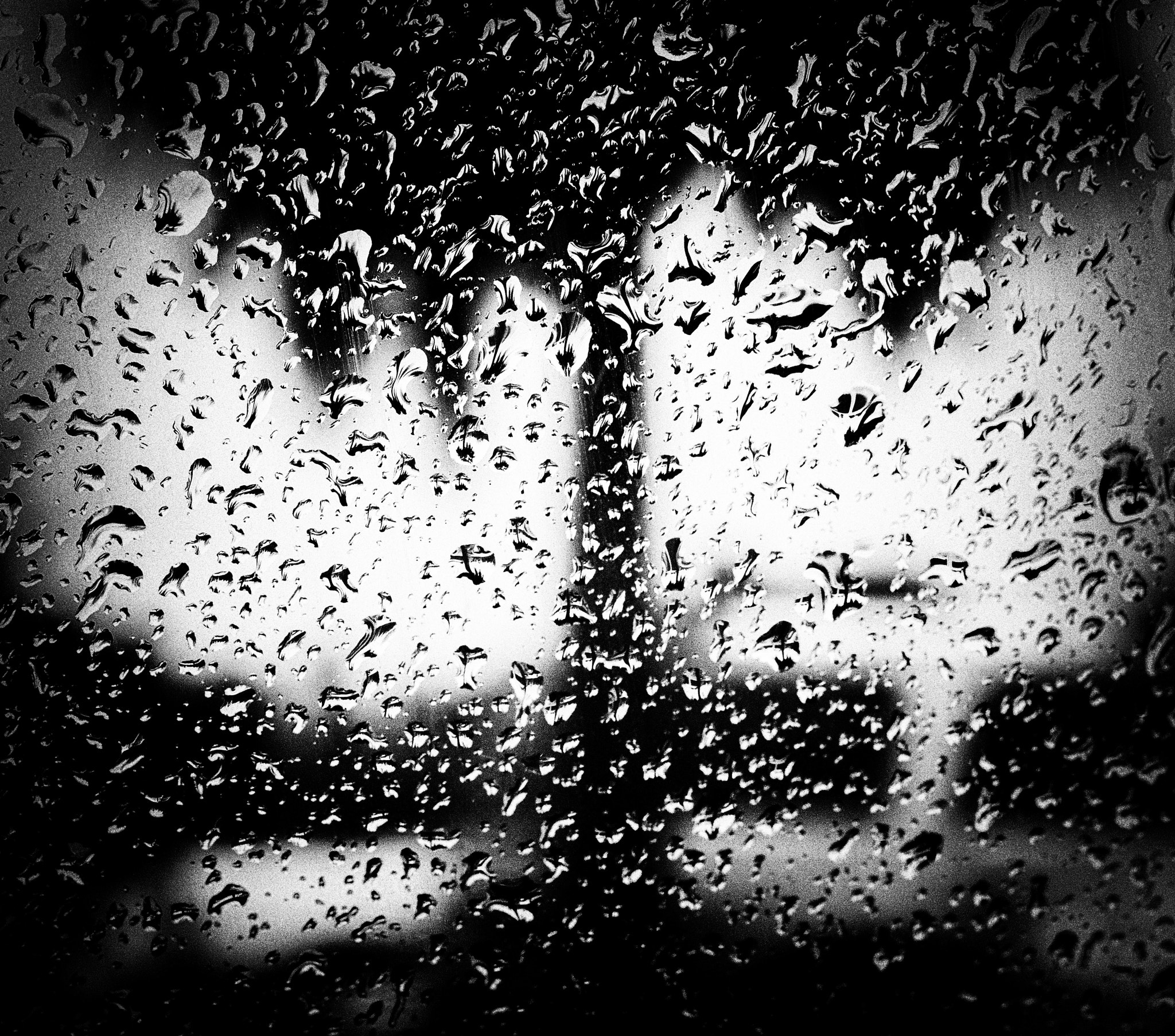 Canon EF 50mm F1.8 II sample photo. Rainy days in soda city photography