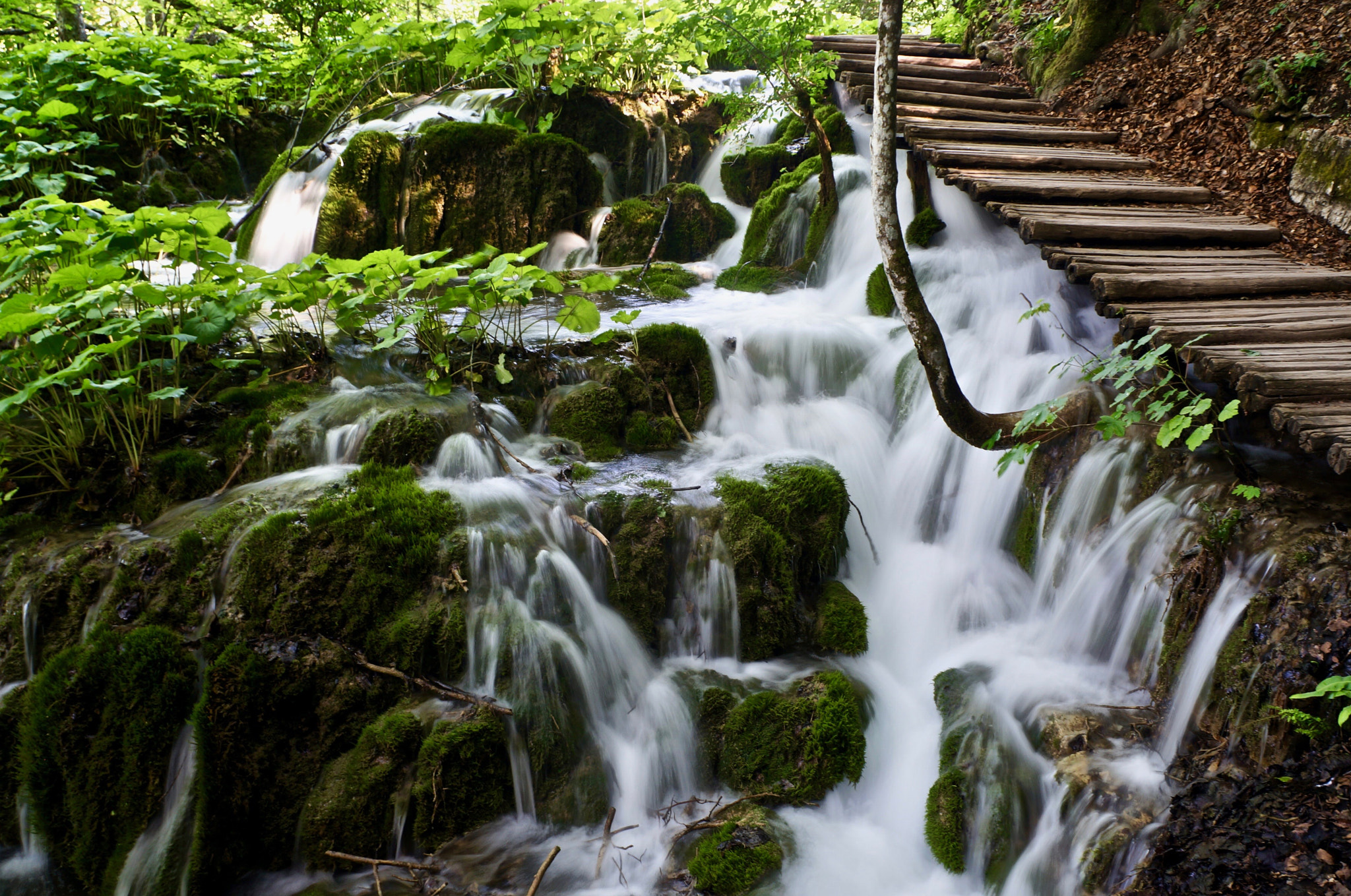 Tamron 18-200mm F3.5-6.3 Di III VC sample photo. Plitvice walk path photography