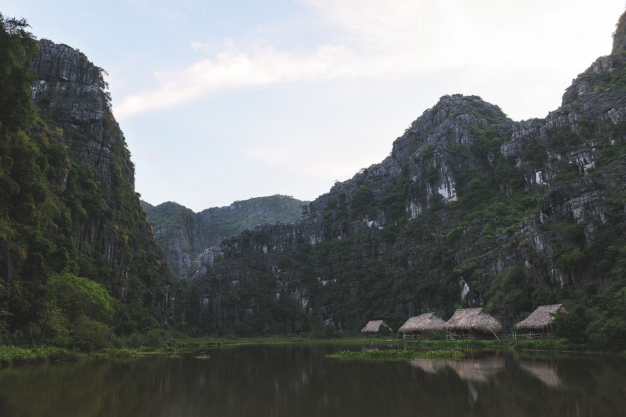Sigma 18-35mm F1.8 DC HSM Art sample photo. Wild photography