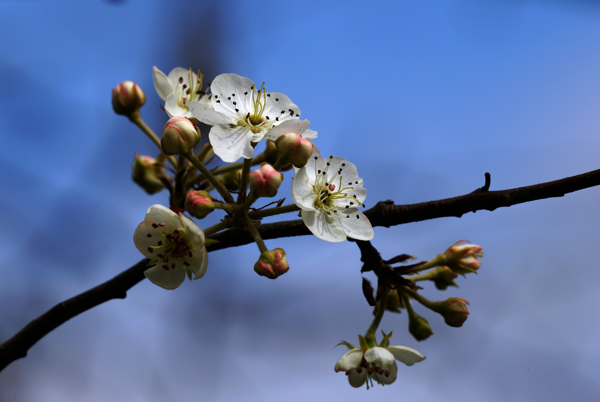 Sony 70-400mm F4-5.6 G SSM II sample photo. Untitled photography