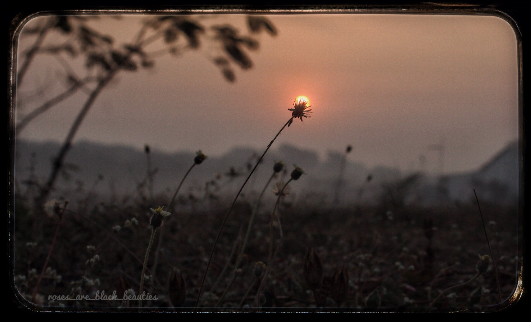 Canon EF-S 18-55mm F3.5-5.6 IS II sample photo. Morning photography