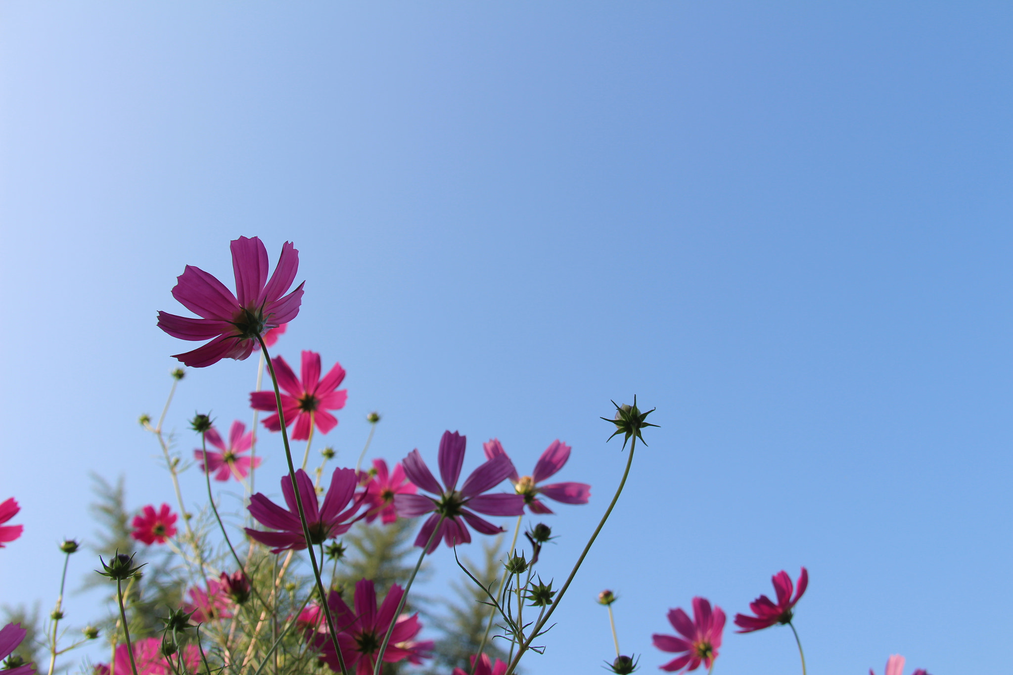 Canon EF-S 18-200mm F3.5-5.6 IS sample photo. 귀여워서`````찰칵^^ photography