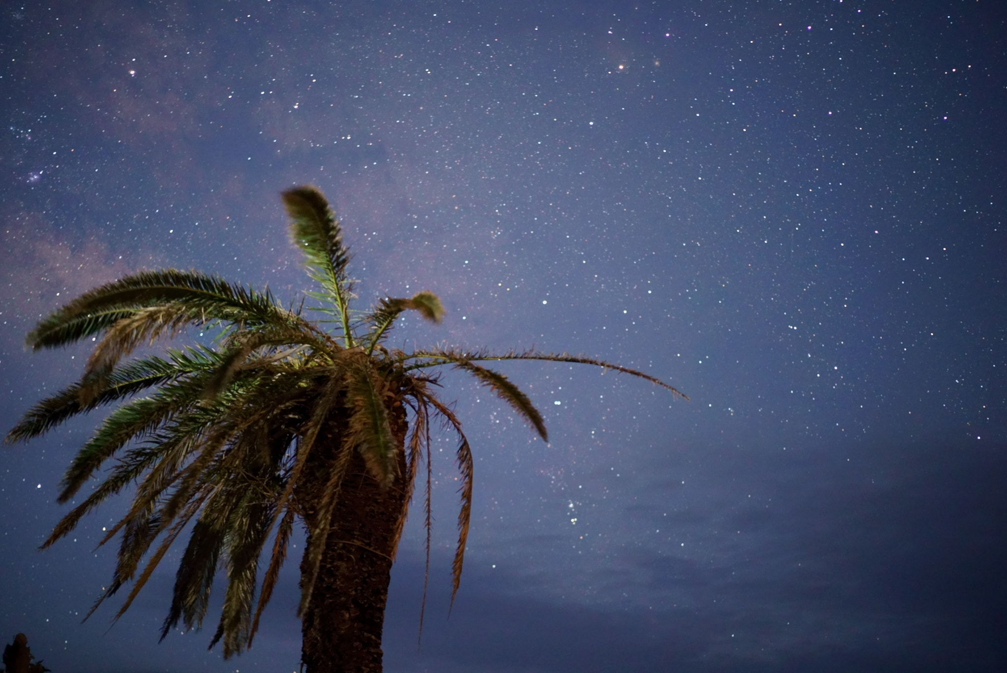 Sony a7S + Sony Sonnar T* FE 55mm F1.8 ZA sample photo. Siono-misaki nightscape photography