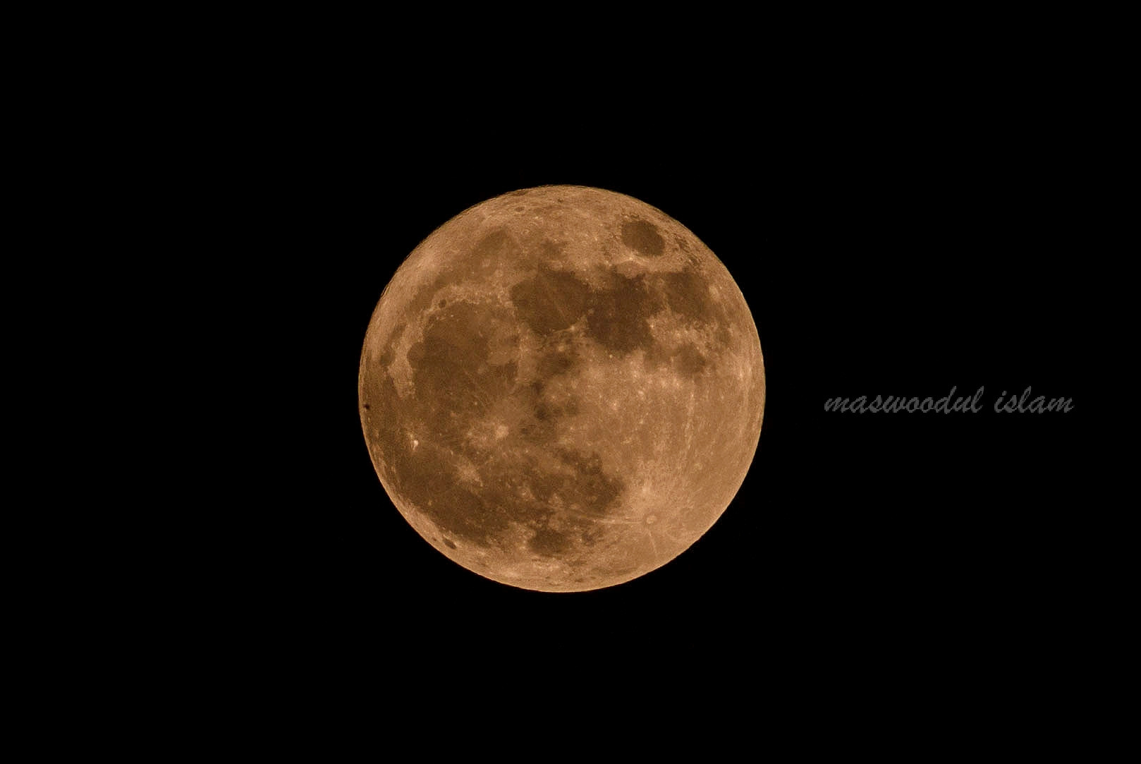 Canon EF-S 55-250mm F4-5.6 IS II sample photo. Fo photography