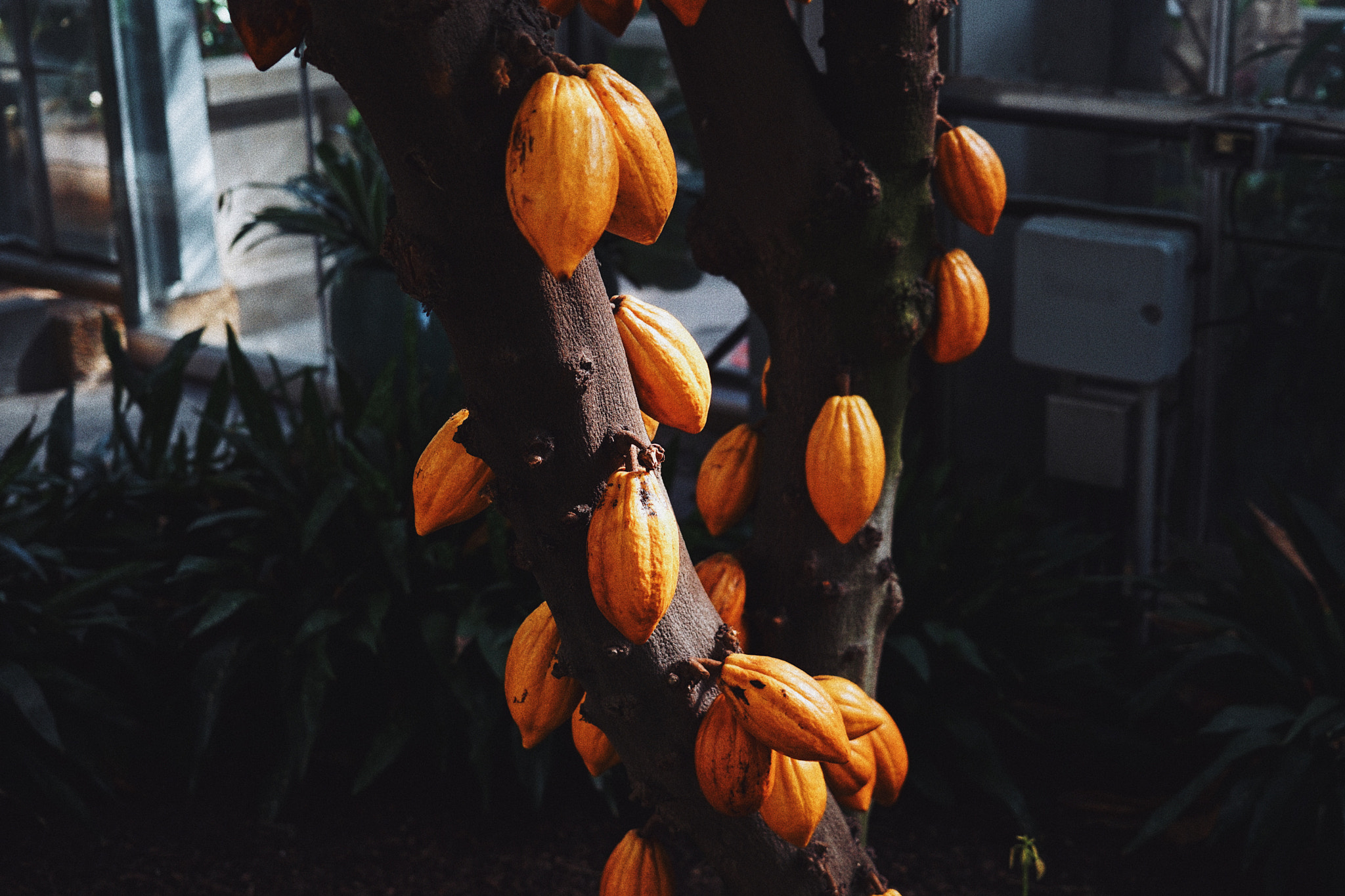 Sony FE 24-240mm F3.5-6.3 OSS sample photo