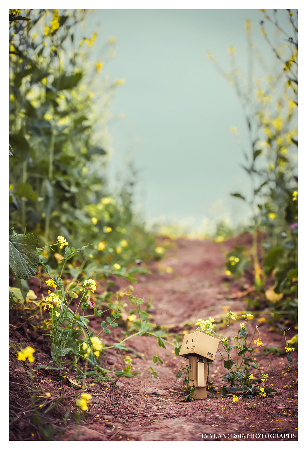 Nikon D800E sample photo