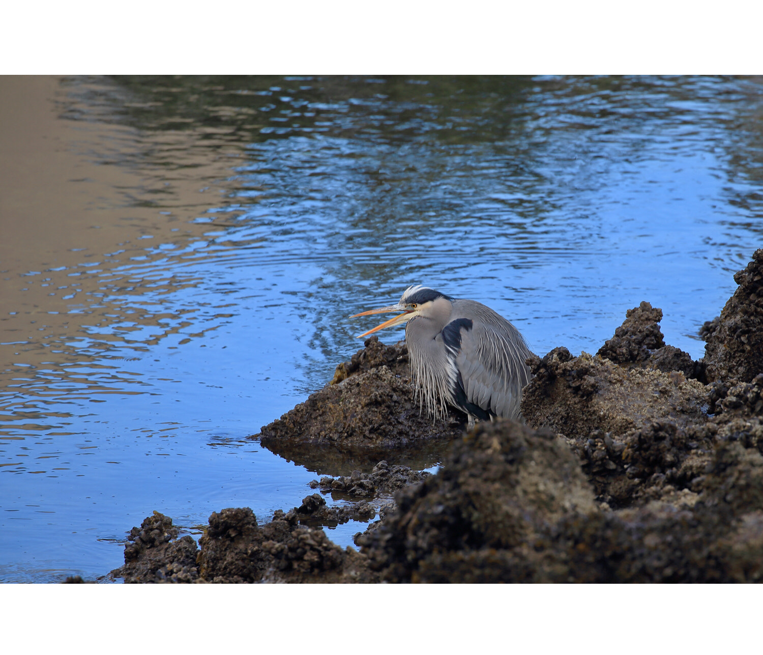 Canon EOS-1D X sample photo
