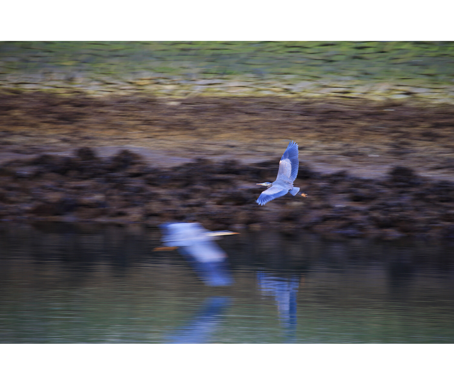 Canon EOS-1D X sample photo