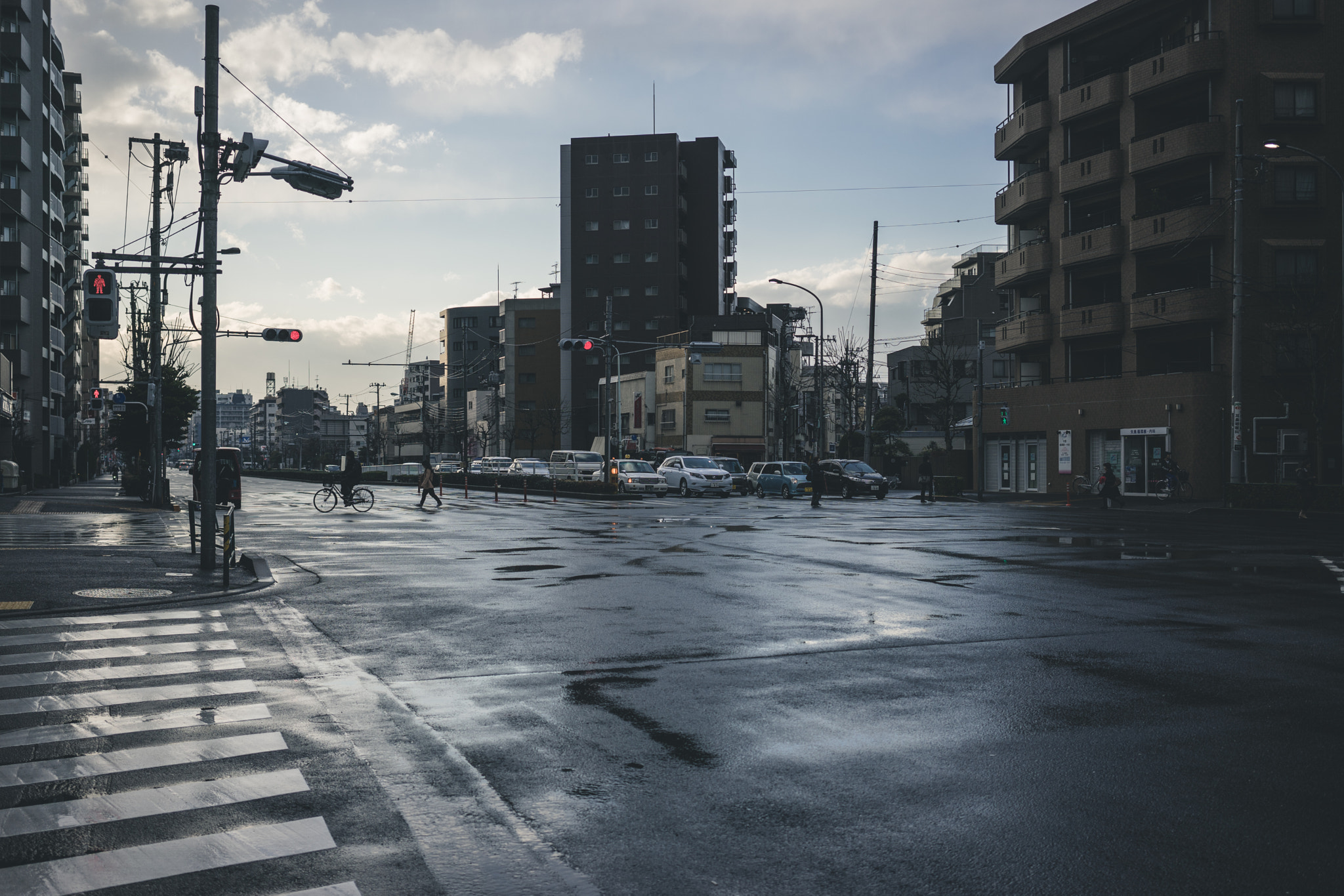 Sony a7 + Sony Sonnar T* FE 35mm F2.8 ZA sample photo. The microconstrast photography