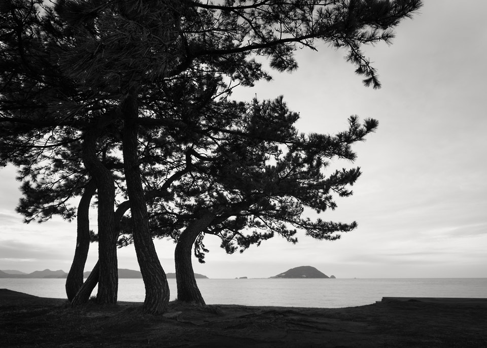 Canon EF 16-35mm F4L IS USM sample photo. A dream within a dream photography