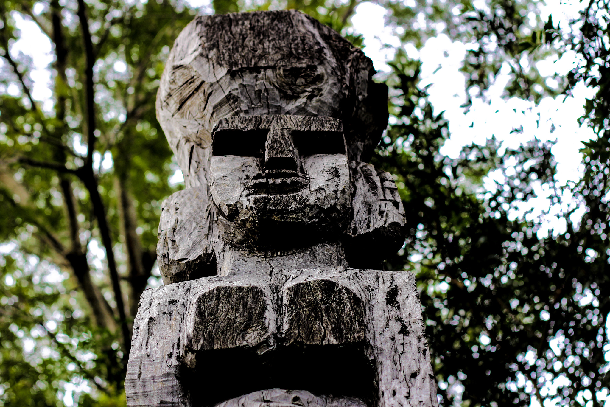Canon EOS 700D (EOS Rebel T5i / EOS Kiss X7i) + Canon EF 50mm F1.8 II sample photo. Wooden totem photography