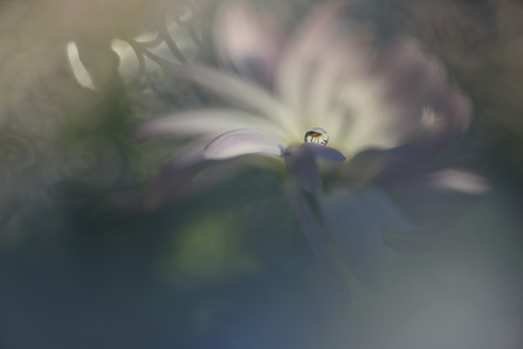 Nikon AF-S Micro-Nikkor 105mm F2.8G IF-ED VR sample photo. Slip through photography