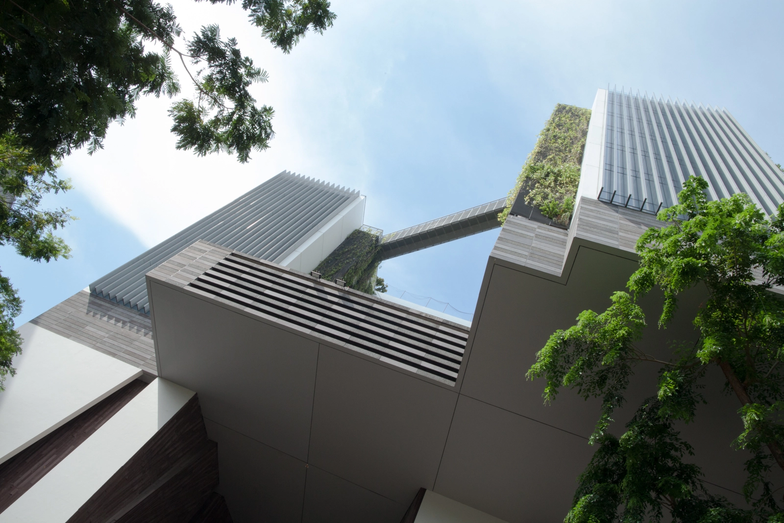 Canon EF 24mm F1.4L II USM sample photo. -- photography