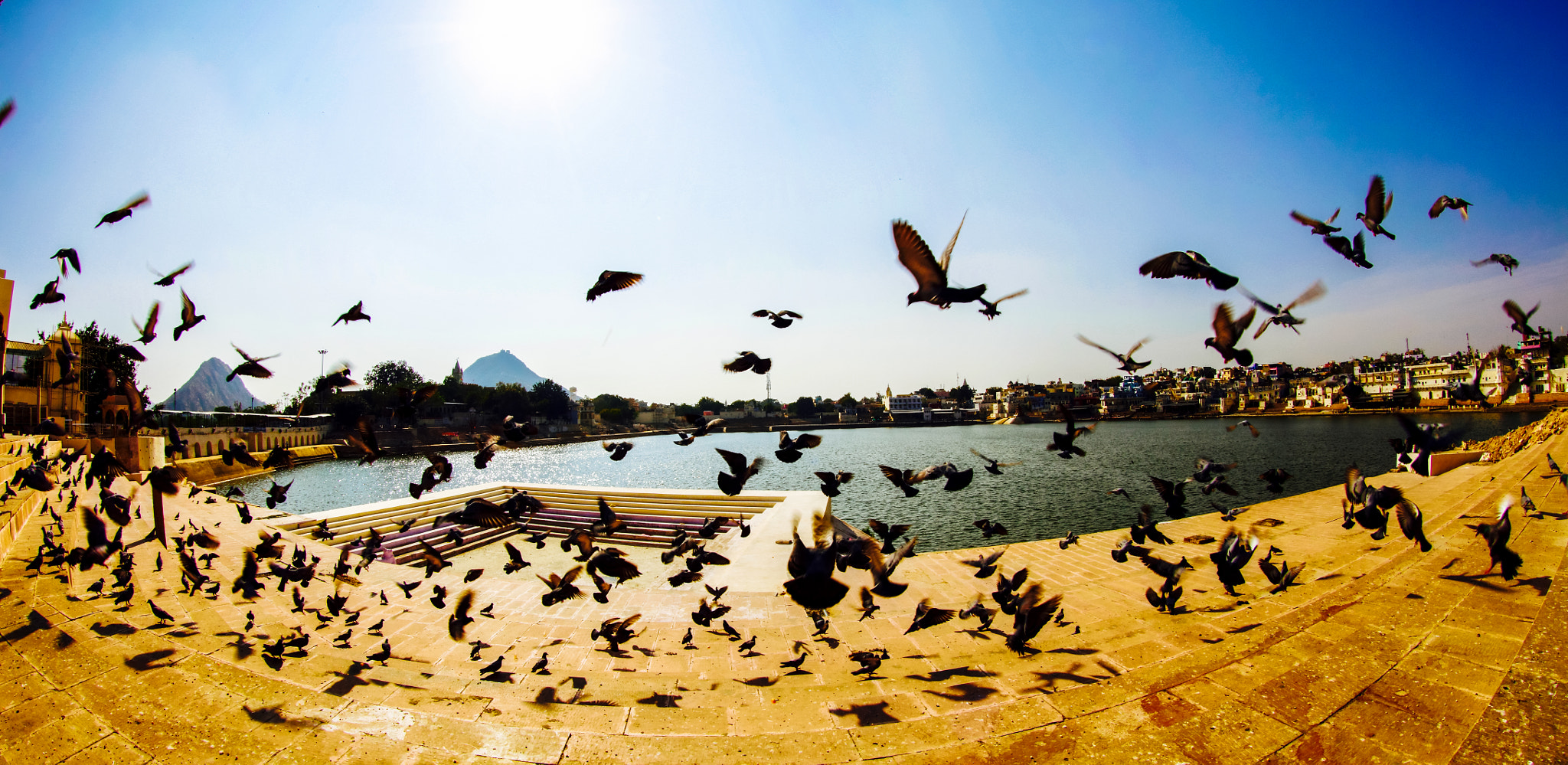 Canon EF 8-15mm F4L Fisheye USM sample photo. Fly away... photography