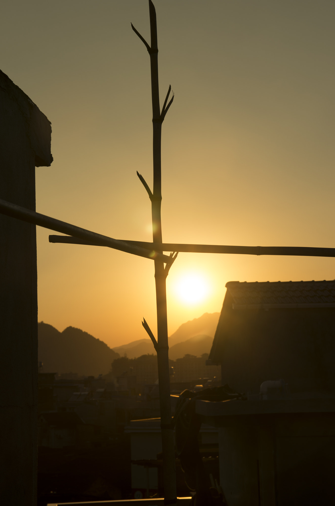 Sigma 17-50mm F2.8 EX DC HSM sample photo. Miss photography