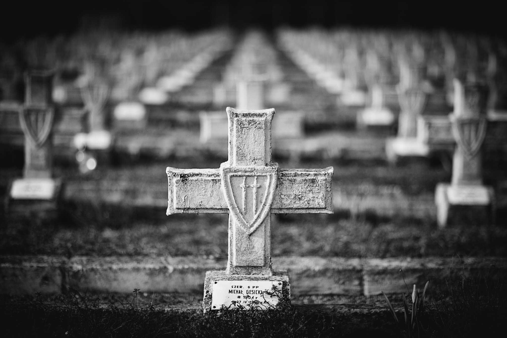 Canon EF 85mm F1.2 sample photo. Cemetery photography