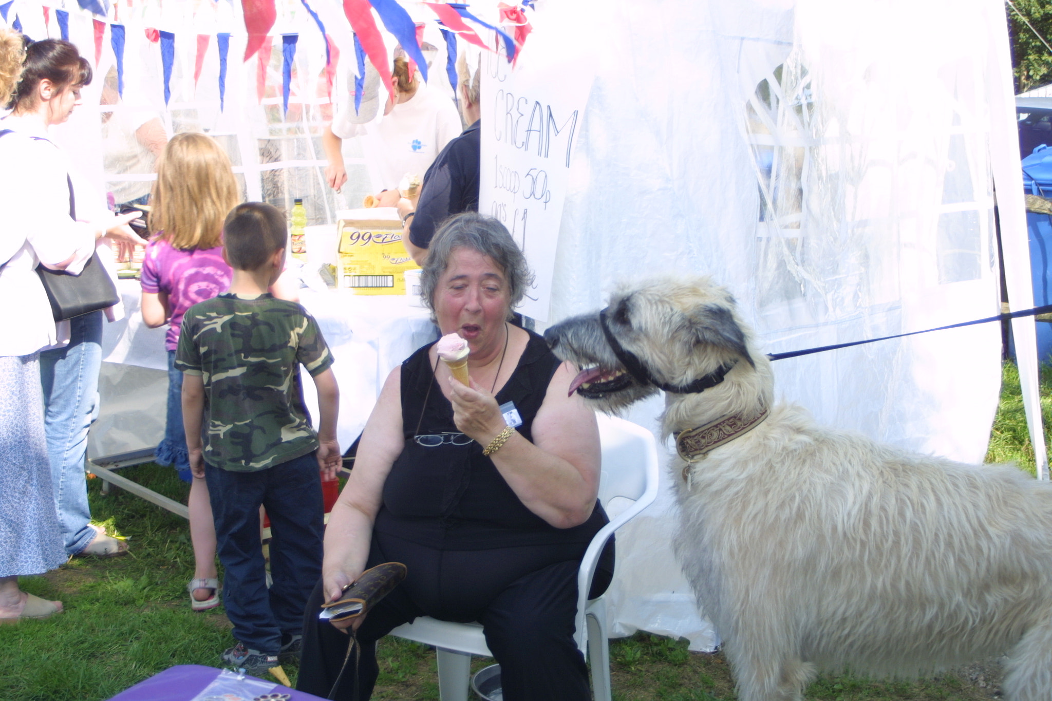 Canon EOS D30 sample photo. Dog show funday sept photography