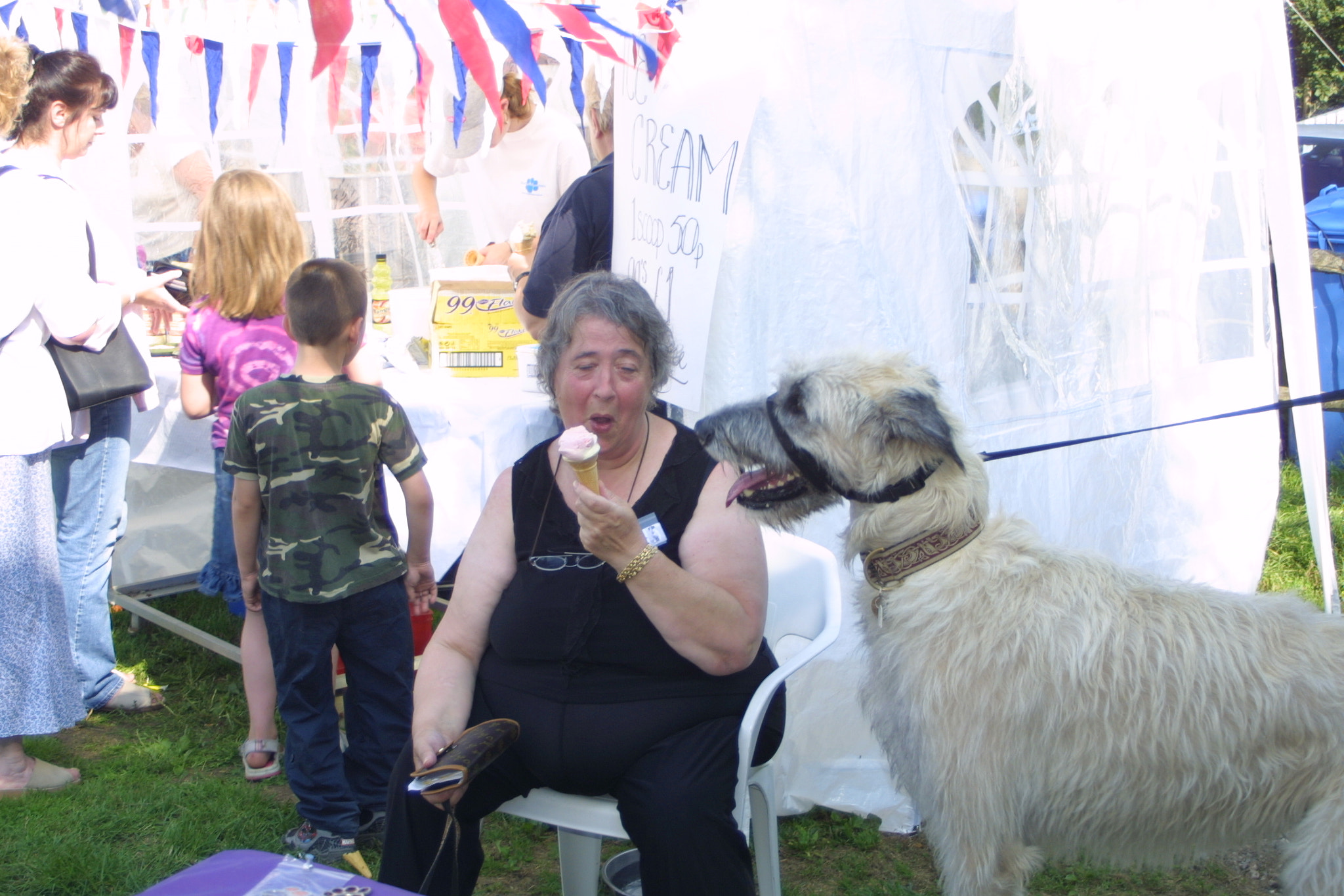 Canon EOS D30 + Sigma 18-50mm f/3.5-5.6 DC sample photo. Dog show funday sept photography