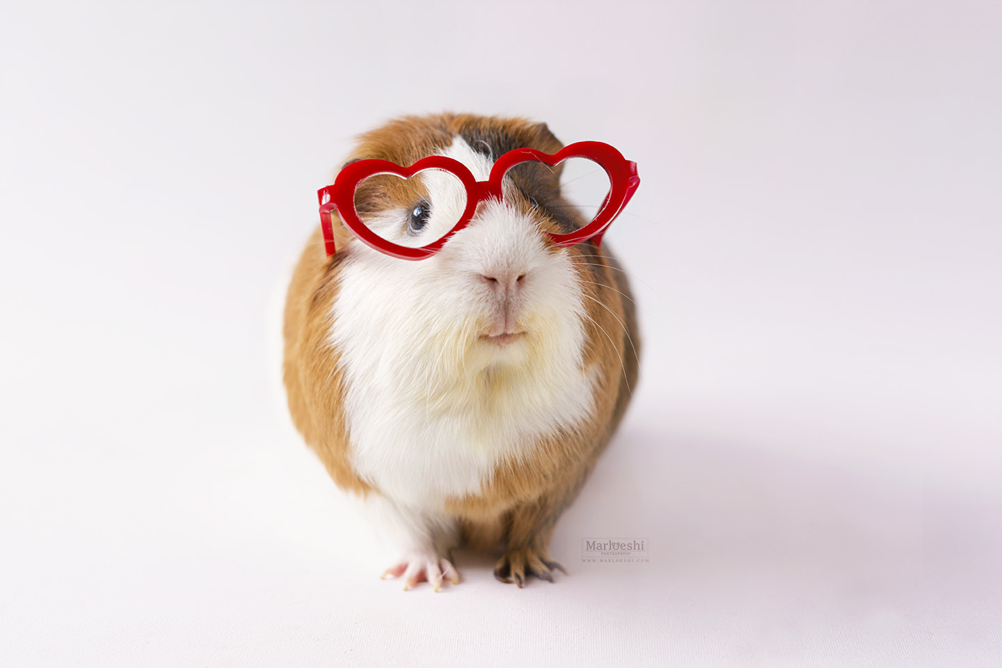 Nikon D7200 + Nikon AF-S Nikkor 50mm F1.4G sample photo. Love glasses photography