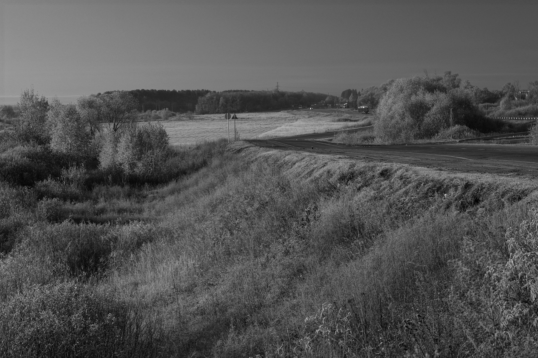 Sony SLT-A58 + Minolta AF 50mm F1.7 sample photo. ЧБ дорога photography