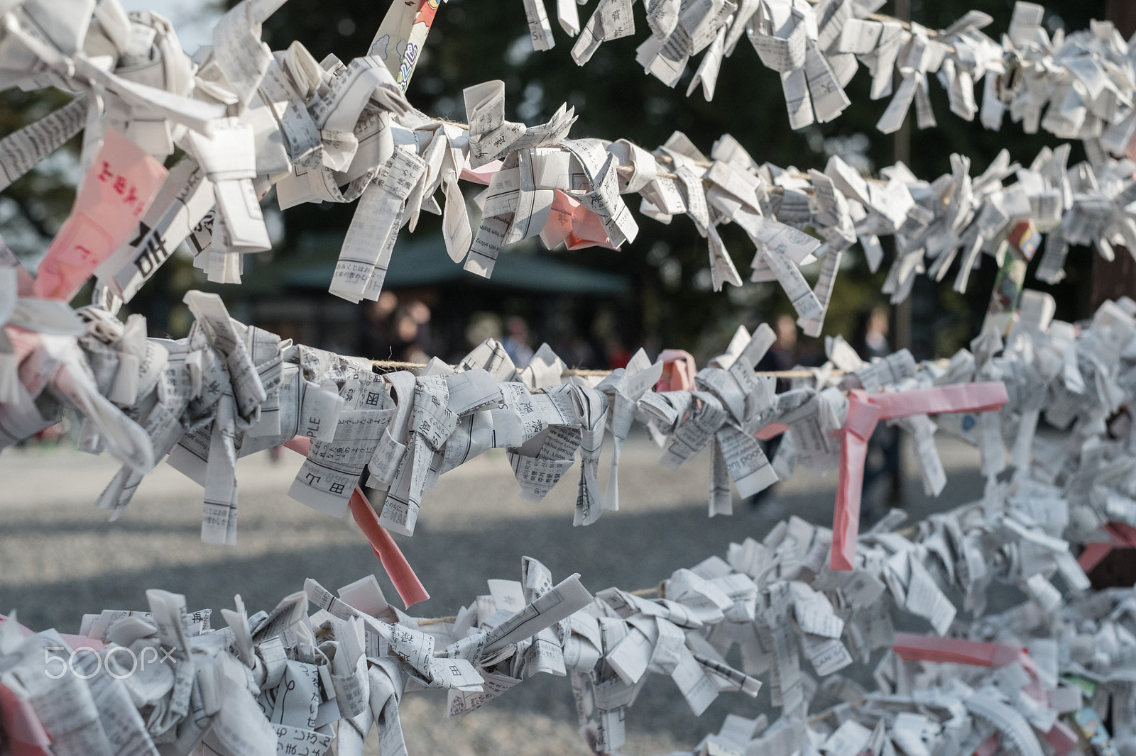 Fujifilm X-E1 + Fujifilm XF 35mm F1.4 R sample photo. Preyers on the line photography