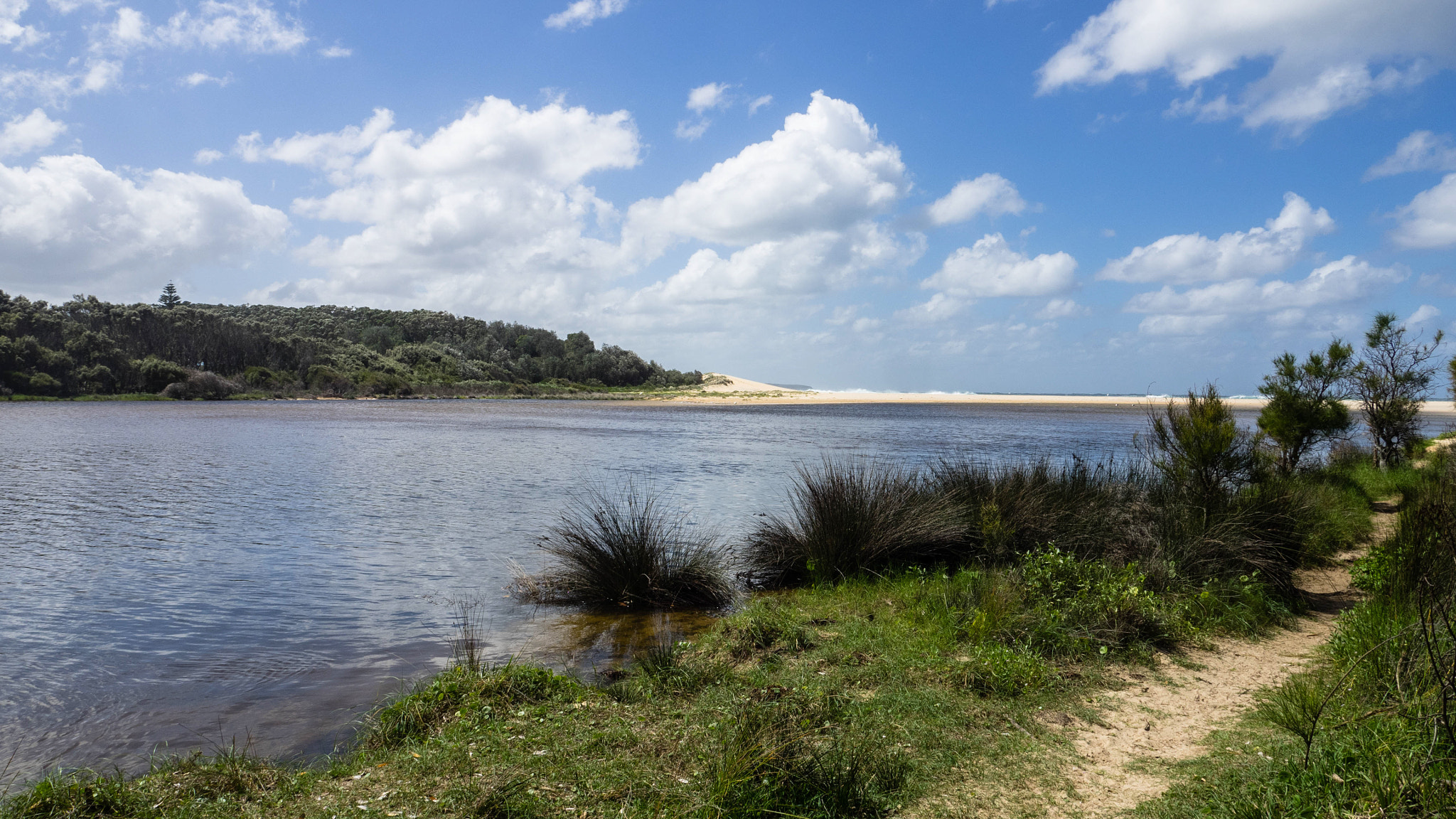 Olympus OM-D E-M1 + OLYMPUS M.12mm F2.0 sample photo. South coast walking track along lake tabourie photography