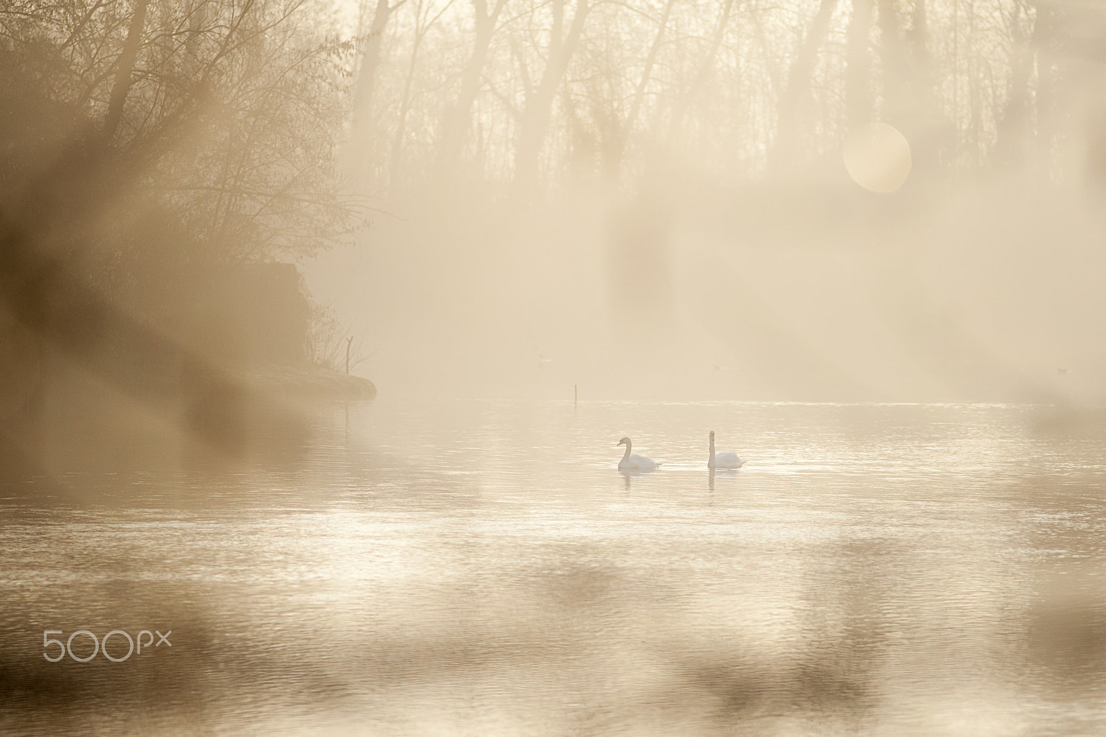 Nikon D700 + Nikon AF Nikkor 180mm F2.8D ED-IF sample photo. Area naturalistica del fiume brenta photography