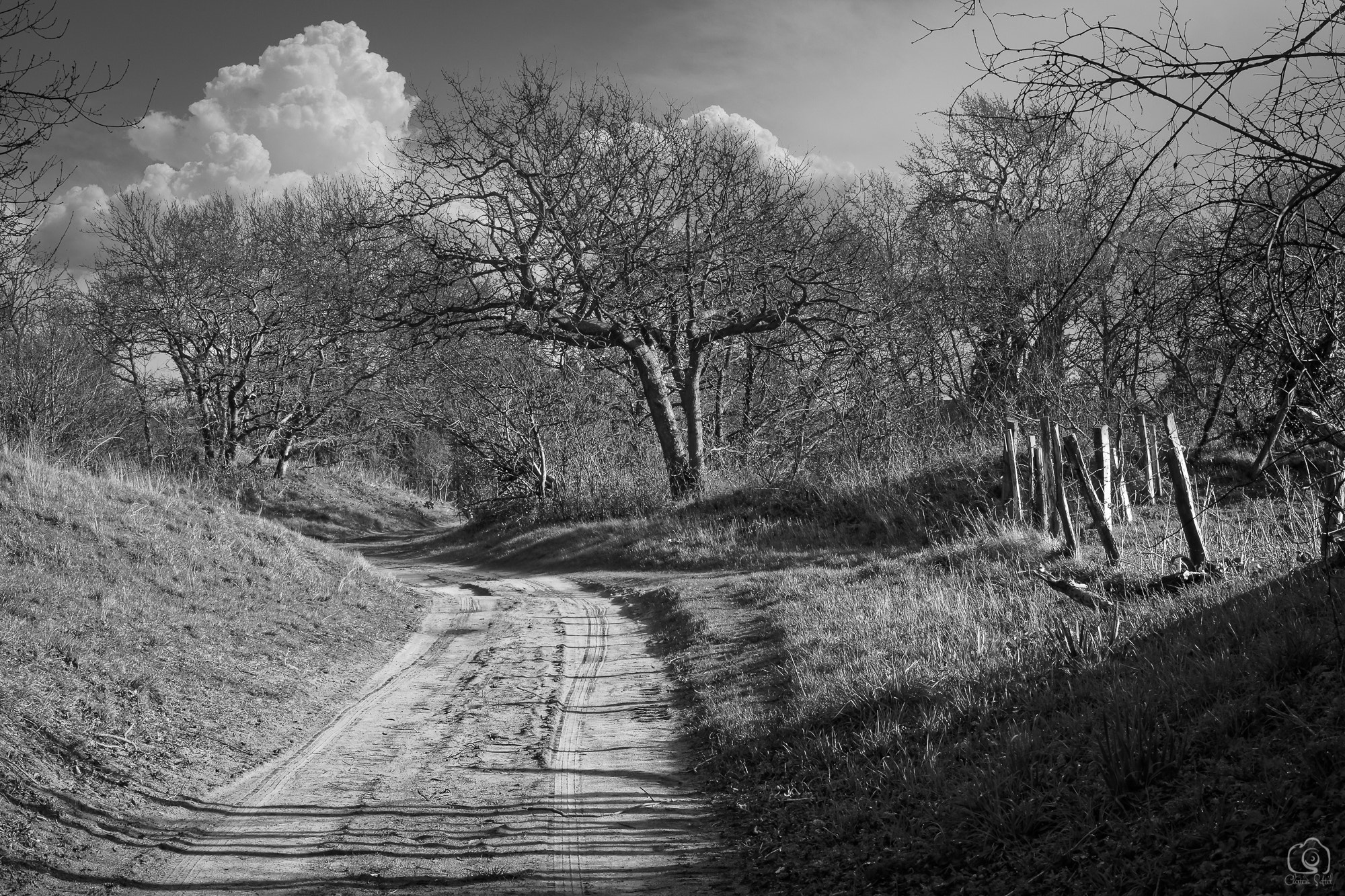 Sigma 24-70mm F2.8 EX DG Macro sample photo. " i 'll follow the path of no return " photography