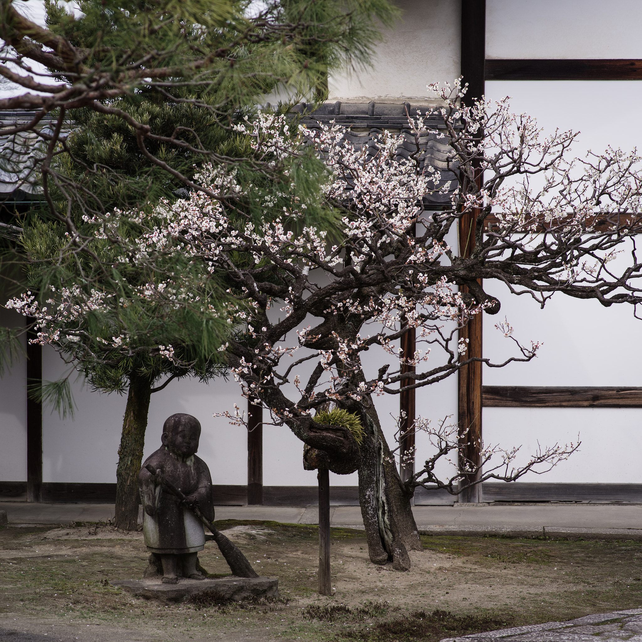 Pentax smc D-FA 100mm F2.8 Macro WR sample photo. Temple photography