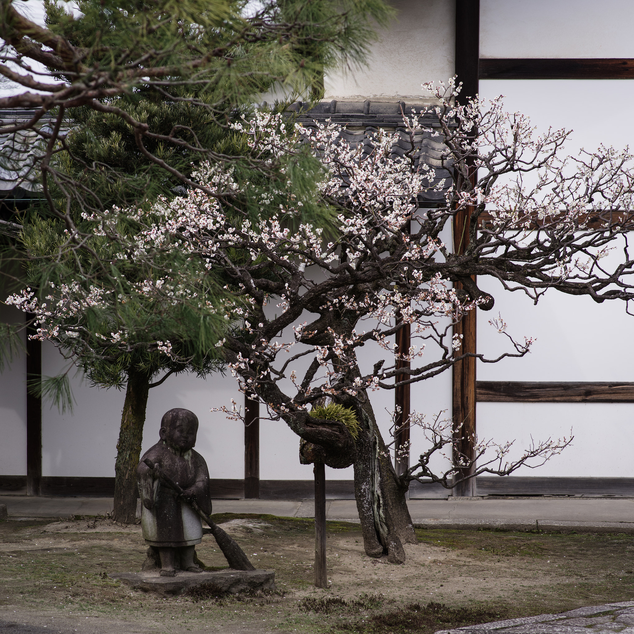 Pentax K-1 sample photo. Temple photography