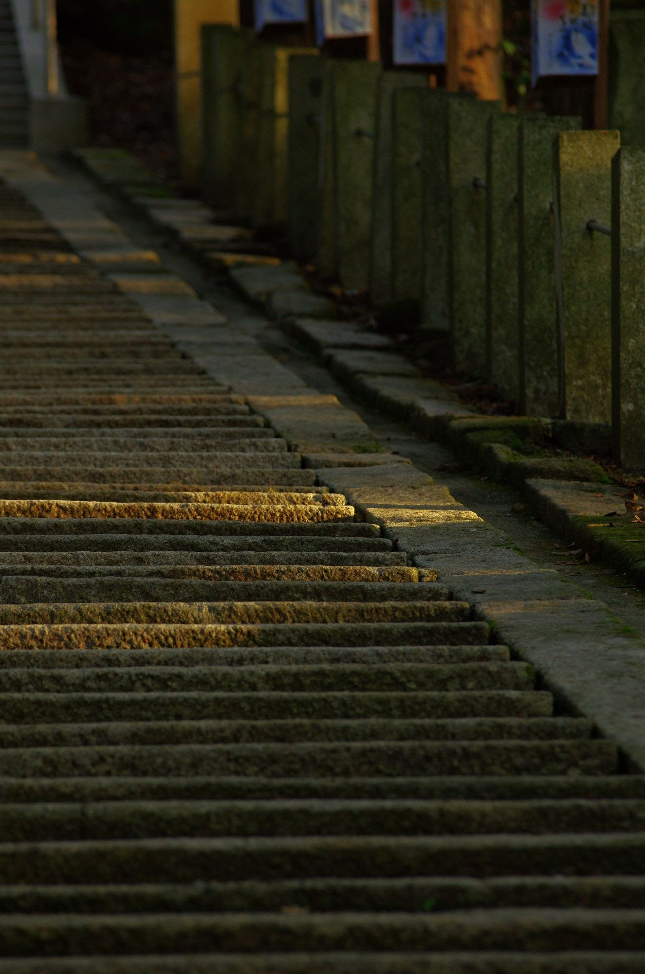 Sigma APO 70-200mm F2.8 EX sample photo. How many steps photography