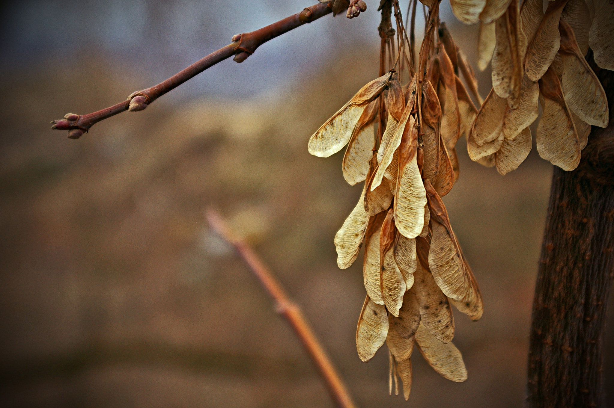 Pentax K100D Super sample photo. Hope of a new life photography