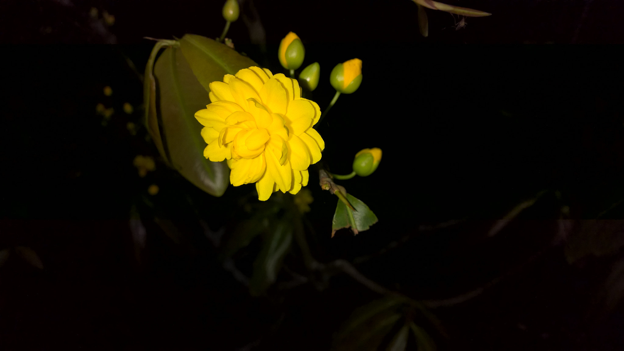 Nokia Lumia 1520 sample photo. Wp_20170125_18_52_11_pro.jpg photography