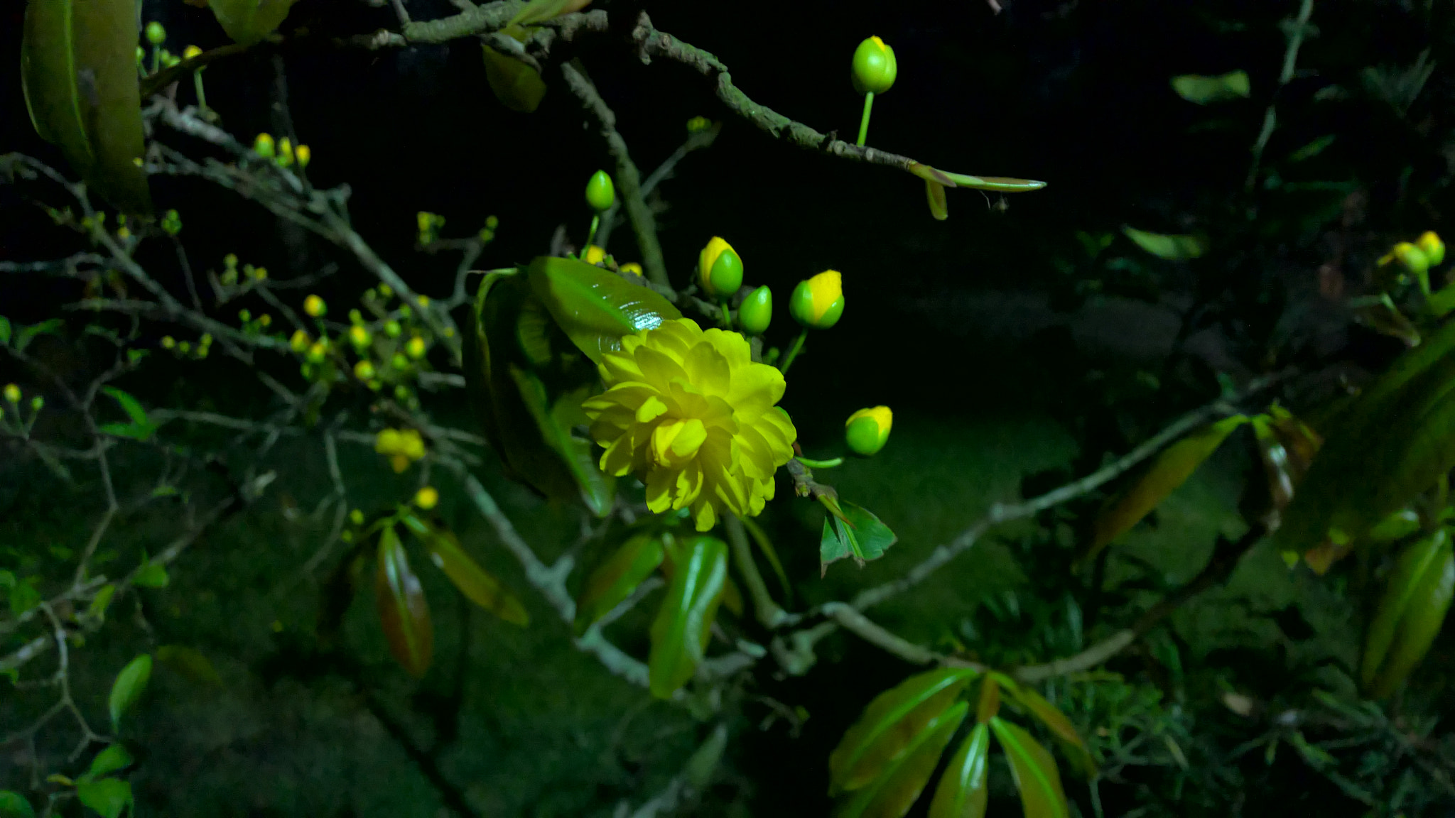 Nokia Lumia 1520 sample photo. Wp_20170125_18_54_27_pro.jpg photography