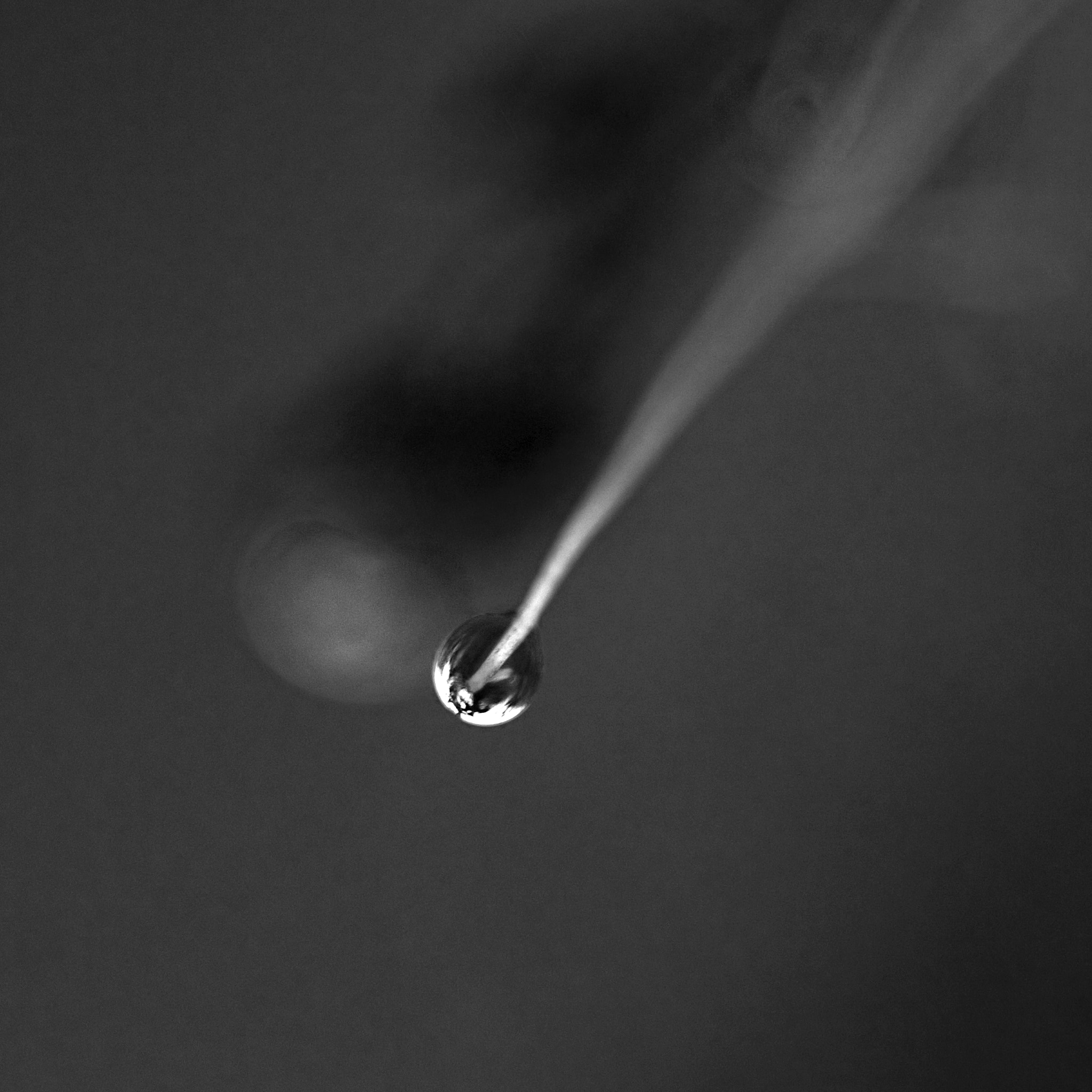 Nikon AF-S Micro-Nikkor 105mm F2.8G IF-ED VR sample photo. Drop photography