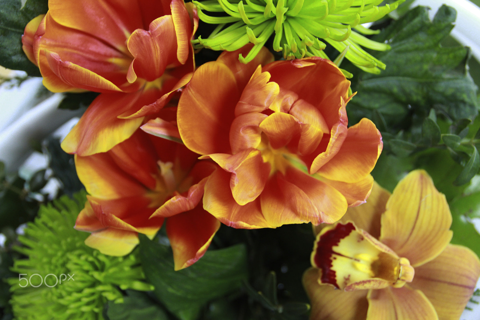 Canon EOS 60D + Canon EF 17-40mm F4L USM sample photo. Bouquet photography