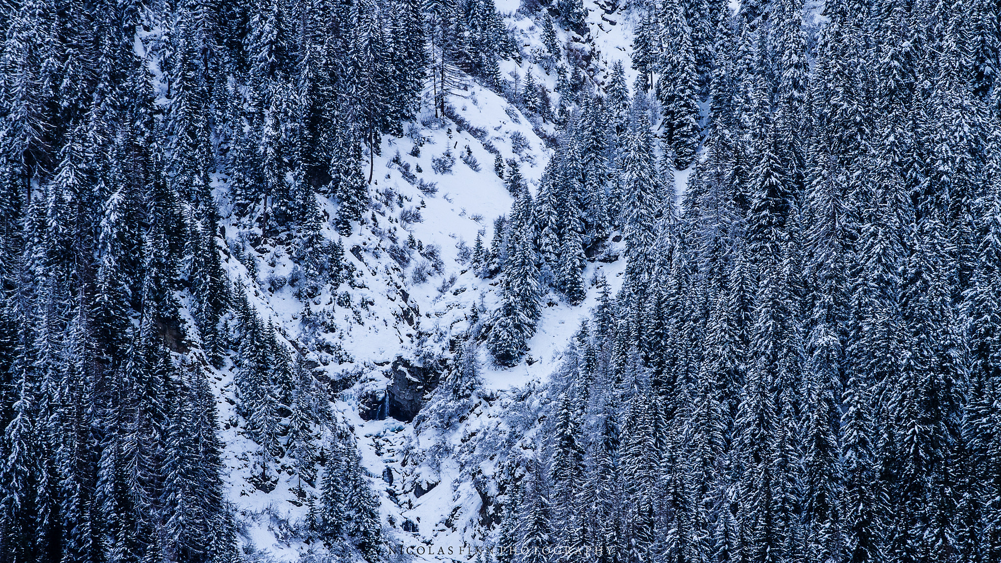 Canon EOS 7D + Canon EF 70-200mm F4L USM sample photo. Trees photography