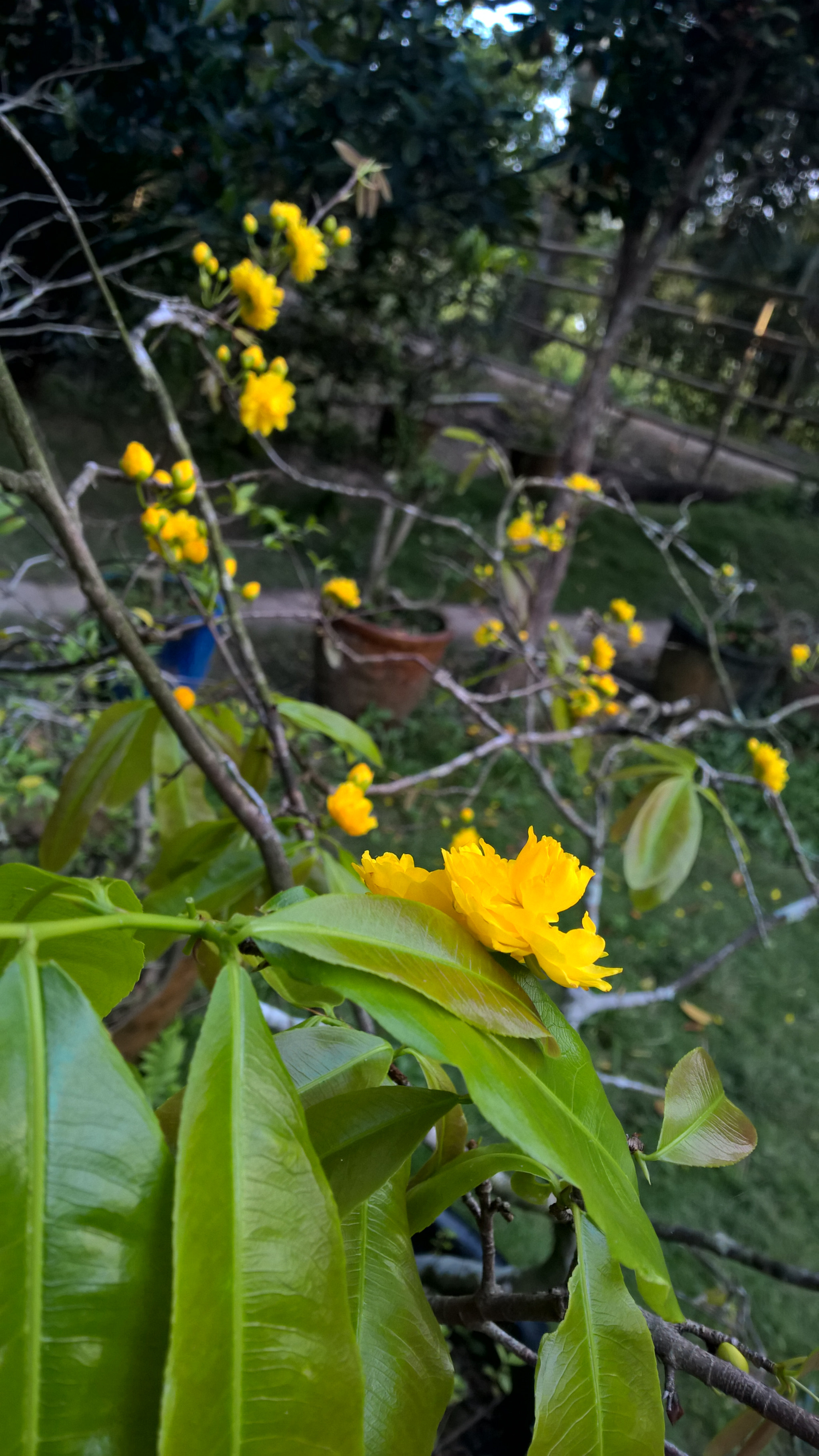 Nokia Lumia 1520 sample photo. Wp_20170127_17_12_45_pro.jpg photography