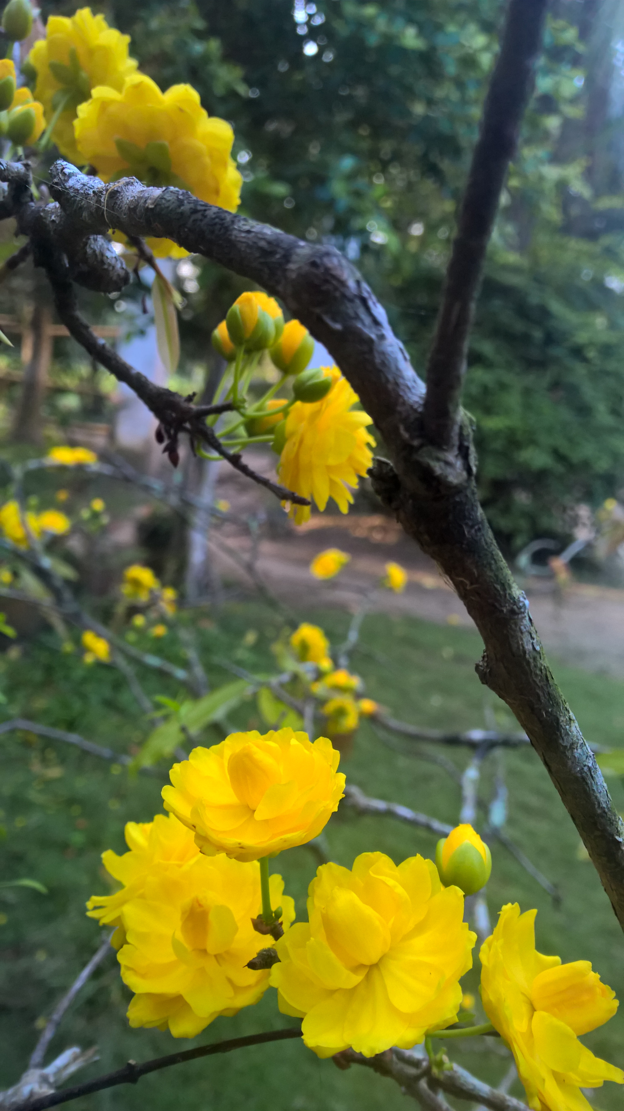 Nokia Lumia 1520 sample photo. Wp_20170128_07_09_49_pro.jpg photography