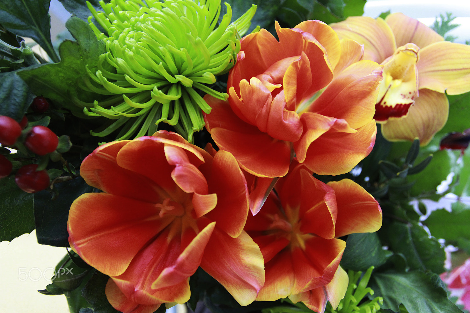 Canon EOS 60D + Canon EF 17-40mm F4L USM sample photo. Red bouquet photography