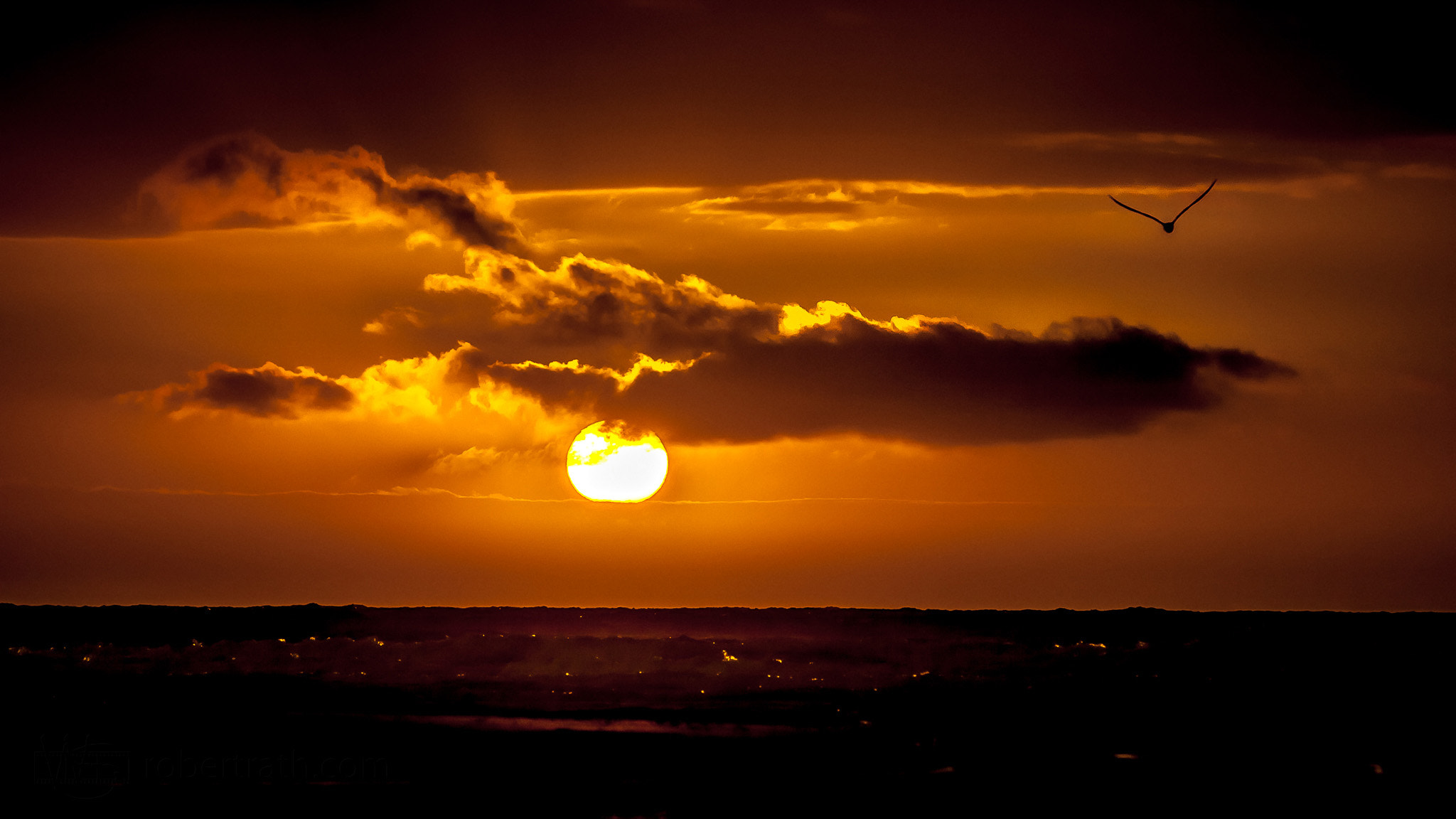 Canon EOS 50D sample photo. Western delight photography