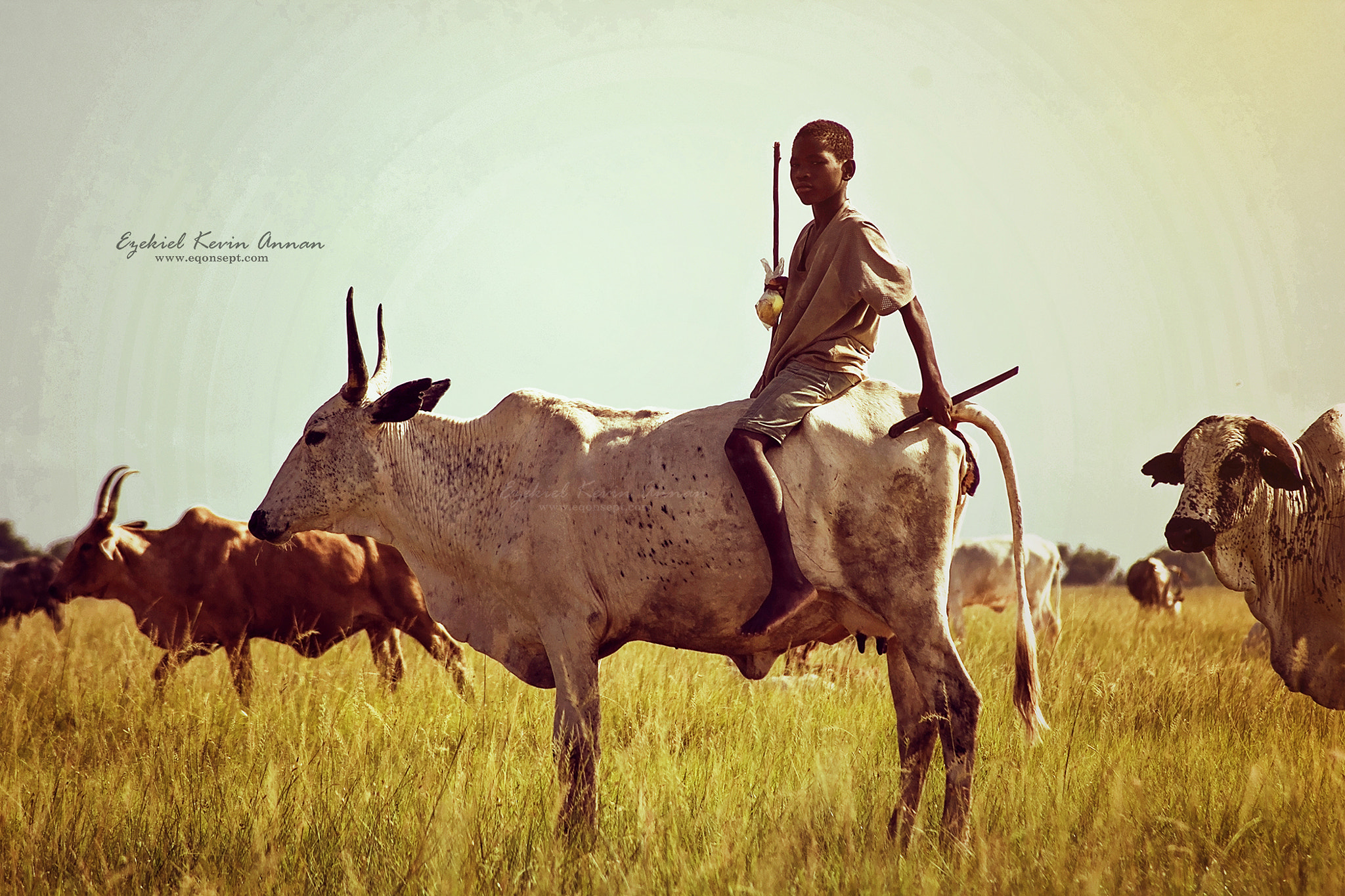 Canon EOS 60D sample photo. Kwesi herds boy  photography
