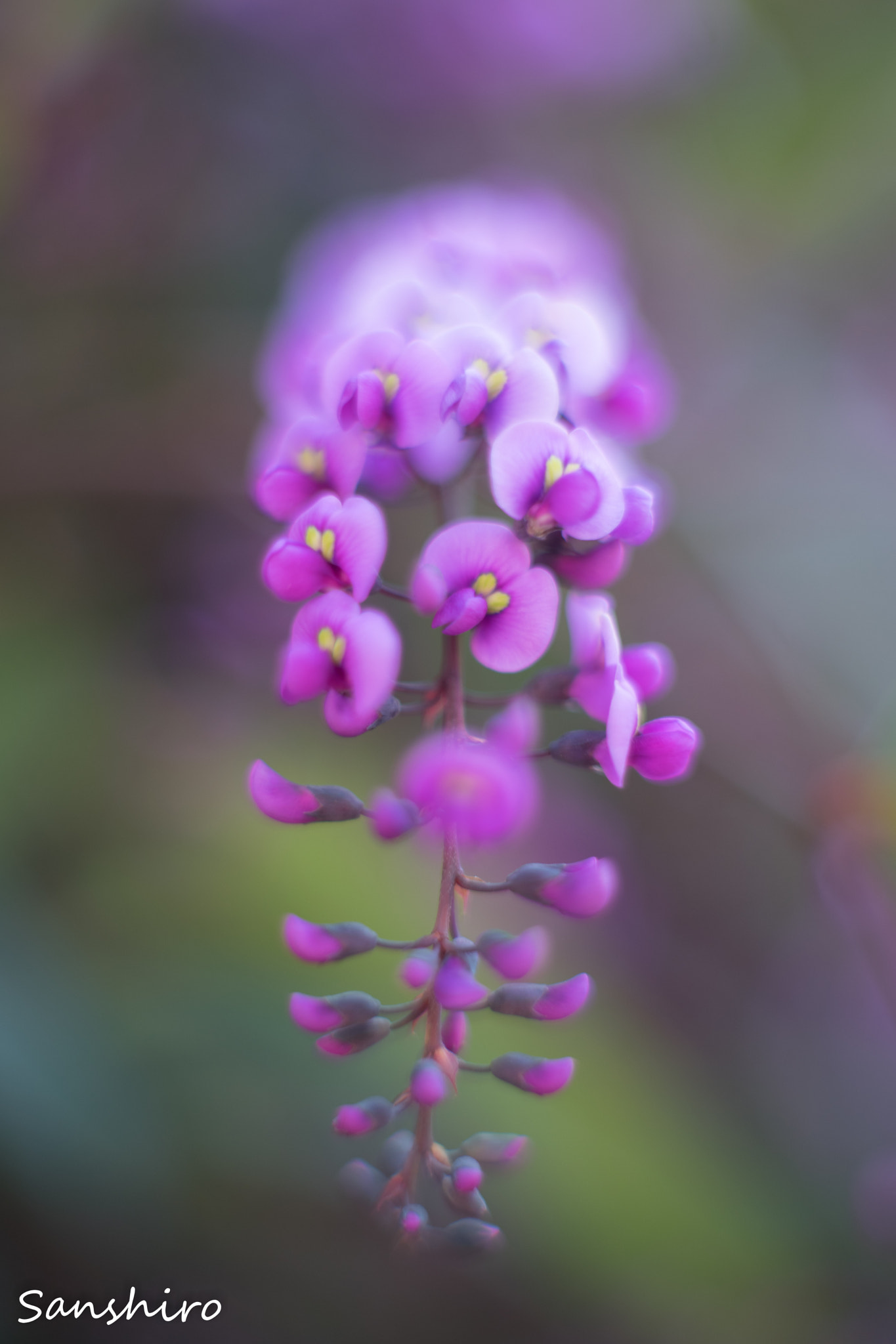 Sony a7 II sample photo. Untitled photography