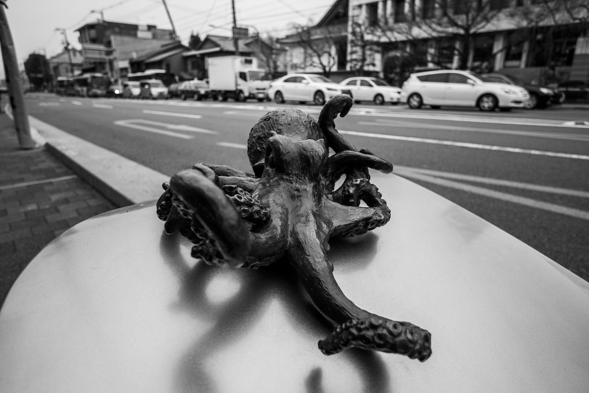 Canon EOS 550D (EOS Rebel T2i / EOS Kiss X4) + Canon EF-S 10-22mm F3.5-4.5 USM sample photo. An octopus in the street photography