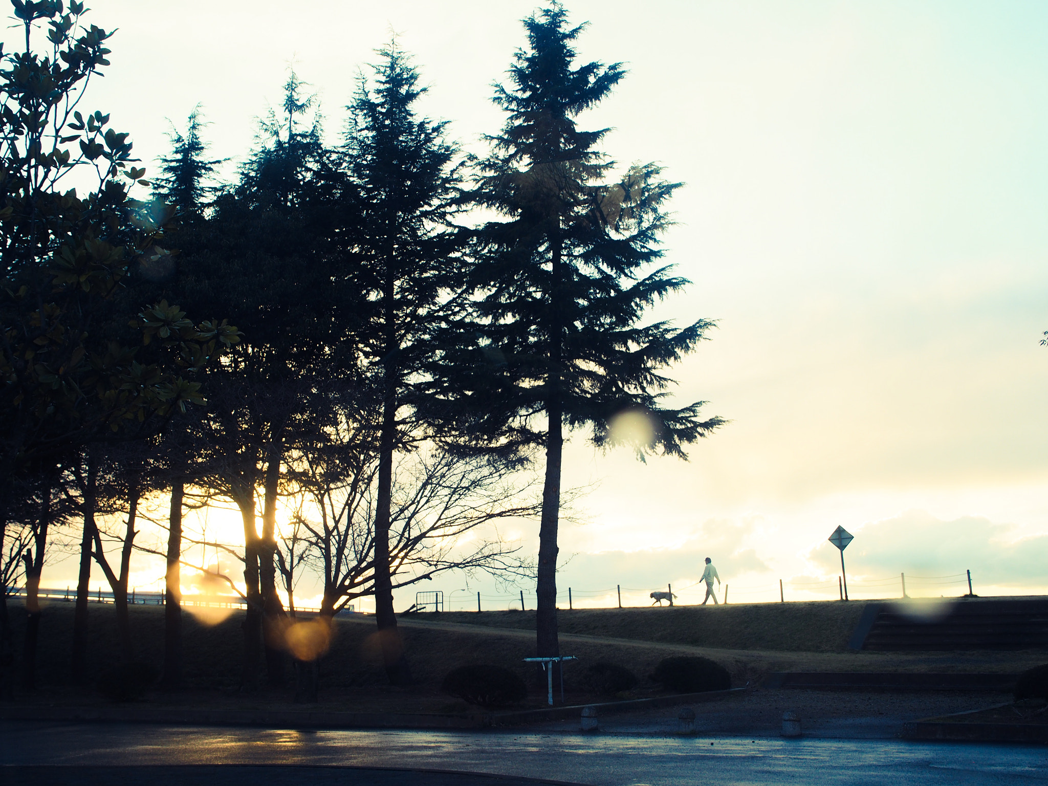 Olympus PEN E-PL6 sample photo. Untitled photography