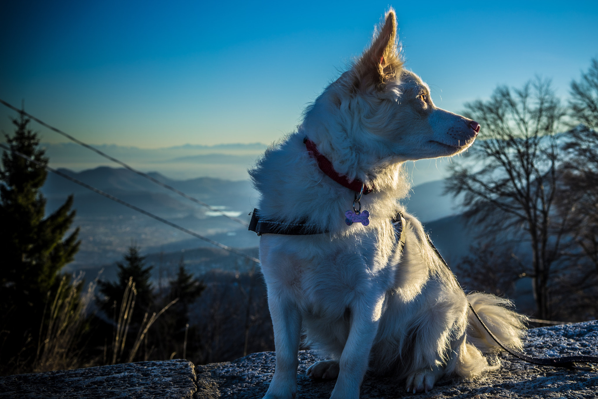 Sony a7 II sample photo. The look of innocence!!! photography